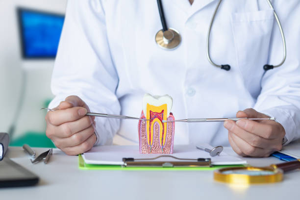 Best Emergency Dental Care for Broken or Chipped Teeth in Radisson, NY